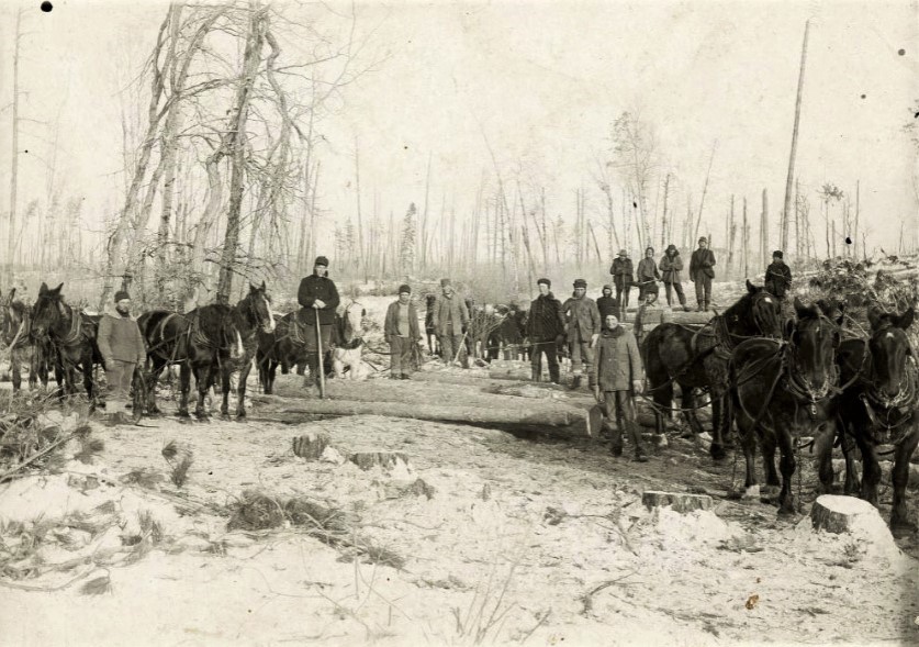 Loggers in winter, Polk County, Minnesota