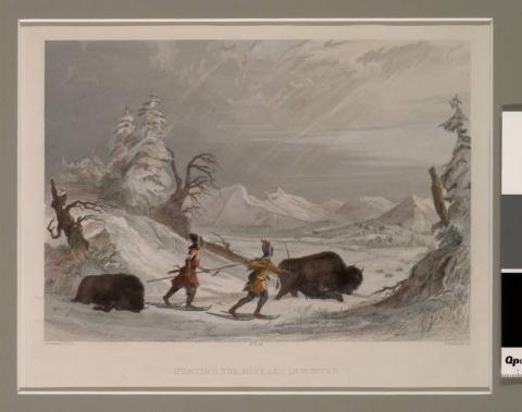Hunting the Buffalo in Winter