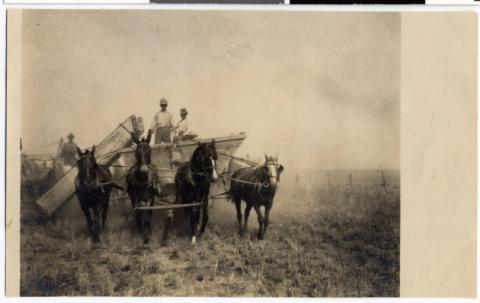 Four-horse threshing wagon in Minnesota