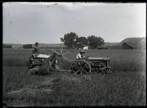 Barley harvest, Carrolton Township, Minnesota