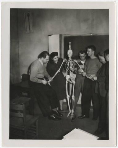 Chiropractic students examine a full size human skeletal model, Northwestern College of Chiropractic, St. Paul, Minnesota