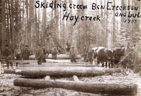 Skidding crew at Hay Creek, Lake of the Woods County, Minnesota