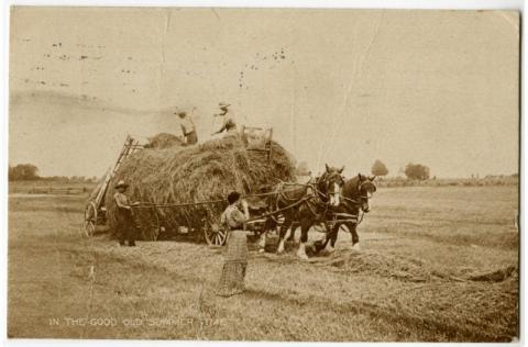 Hay making in Thomson Township
