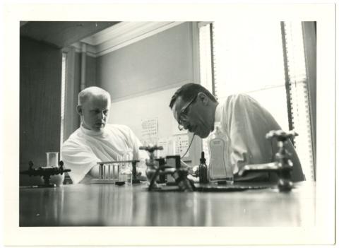 Two doctors in a lab