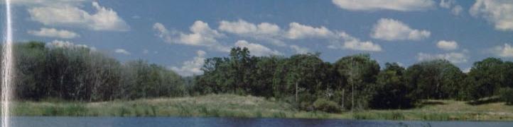 Lake Elmo Regional Park Master Plan, Washington County, Minnesota