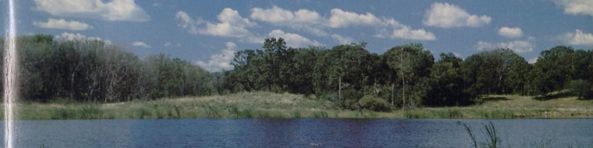 Lake Elmo Regional Park Master Plan, Washington County, Minnesota