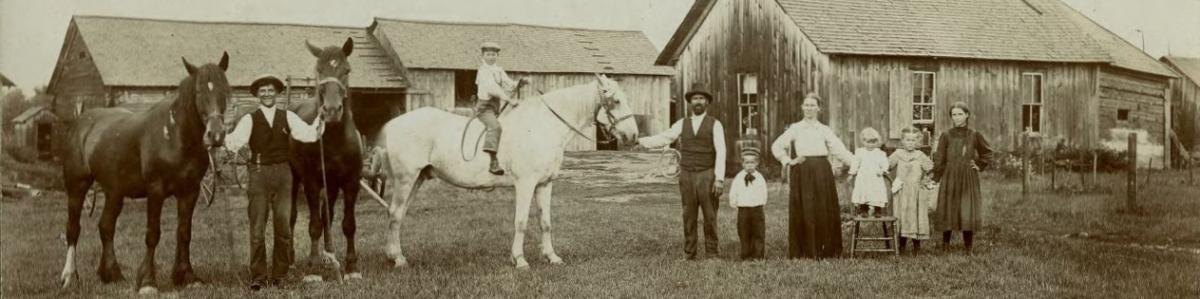 Abraham Mellinen and his family on his farmstead, Thomson Township, Carlton County, Minnesota